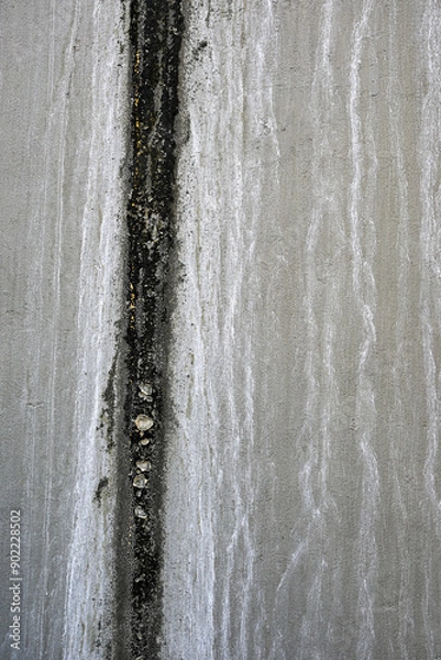 Fototapeta A wall with a white line and a black line