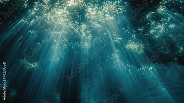 Fototapeta Sunlight filtering through forest trees