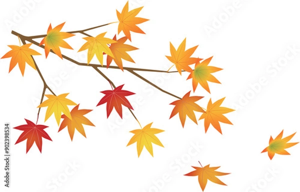 Obraz 紅葉したモミジのイラスト