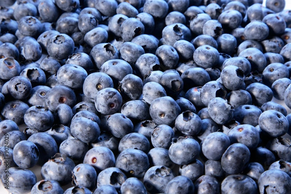 Obraz Blaubeeren
