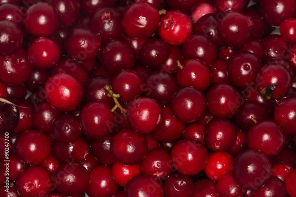 Fototapeta foxberries background