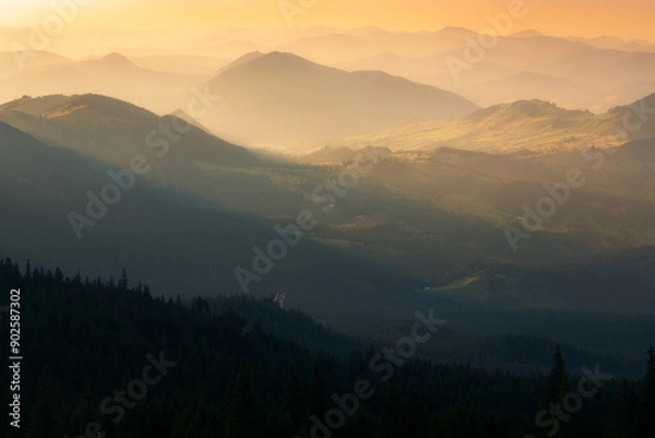 Fototapeta The gentle peaks of the Oriental Carpathians, Romania