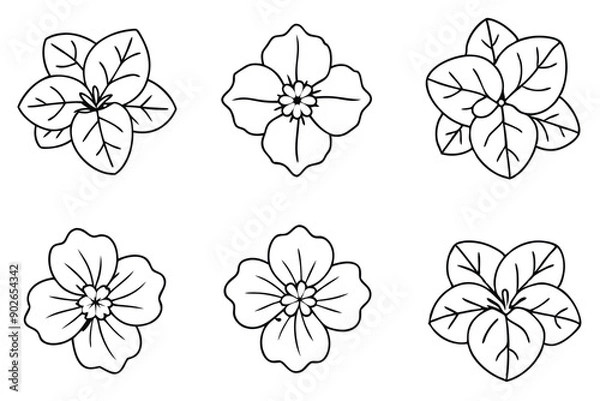 Fototapeta Nasturtium line art illustration Design Concepts