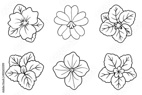 Fototapeta Nasturtium line art illustration Design Concepts
