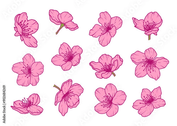 Obraz Set of sakura flowers spring petals. Cherry blossom pink Japanese floral branch. Apple plum bloom flowers. Chinese sakura floral abstract icons. Vector illustration in flat style
