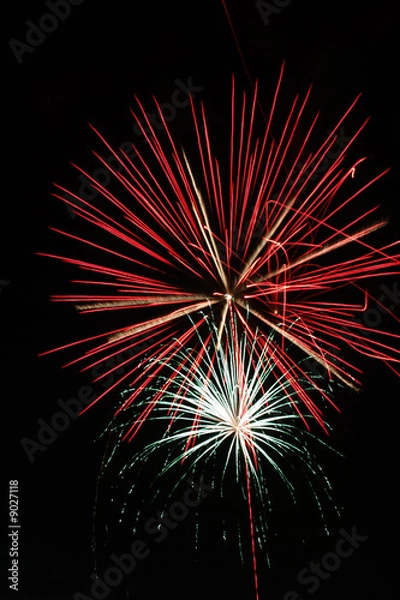 Obraz fireworks display