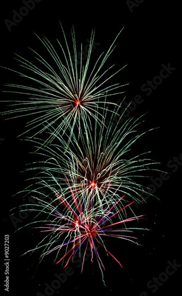 Obraz fireworks display