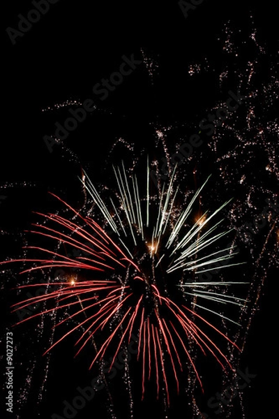 Obraz fireworks display