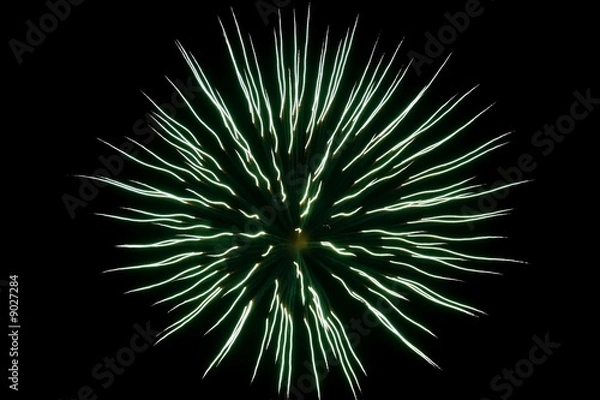 Obraz fireworks display