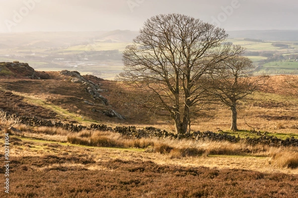 Obraz English countryside in autumn