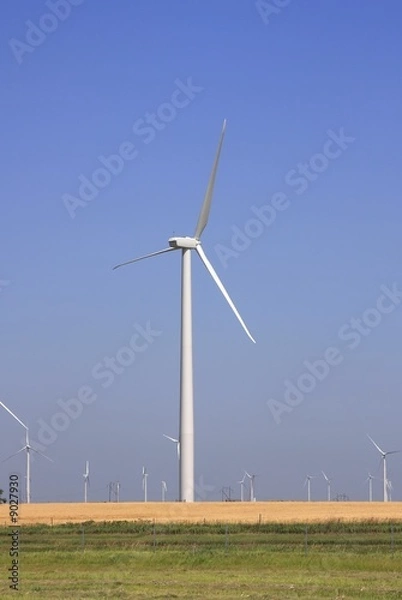 Obraz wind turbine field
