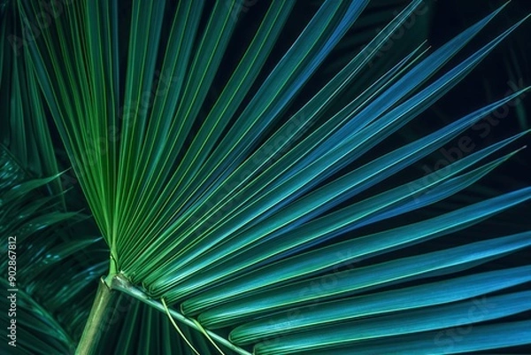 Fototapeta Tropical Leaf Texture