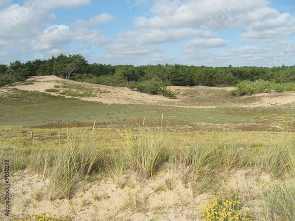 Fototapeta Dunes de sable