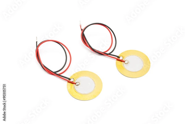 Obraz Piezoelectric Buzzer and Sensor with Lead Wire
