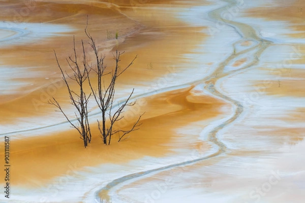 Obraz Gaemana zalana wioska w Rumunii odpady z kopalni 