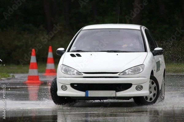 Obraz slalom sur piste 4