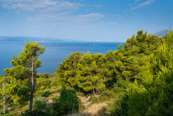 Fototapeta View of the Adriatic coast during summer