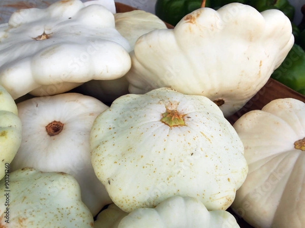 Obraz Pattypan Squash