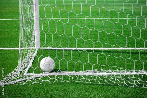 Obraz The ball hammered into a gate