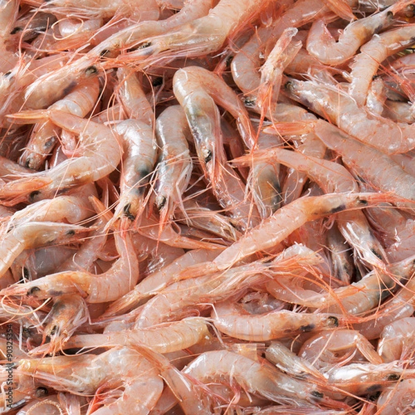 Obraz gamberetti