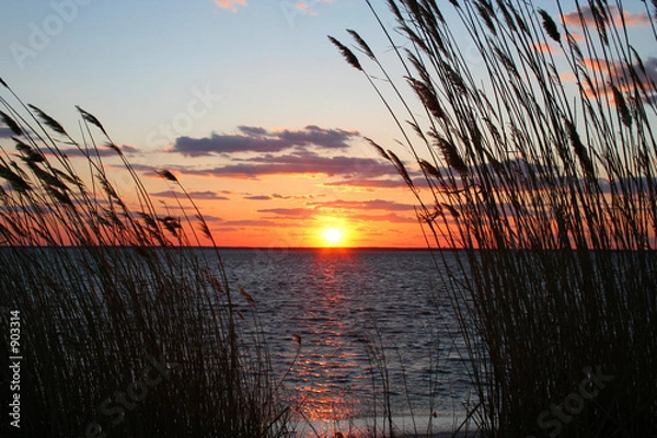 Obraz w zatoce księżyca