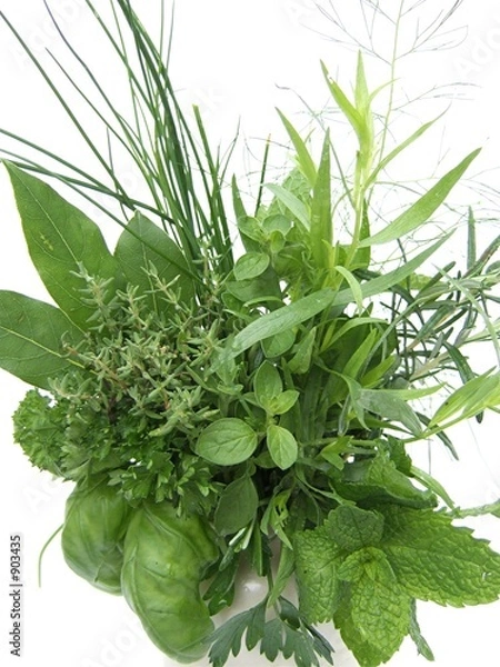 Obraz zioła i aromaty