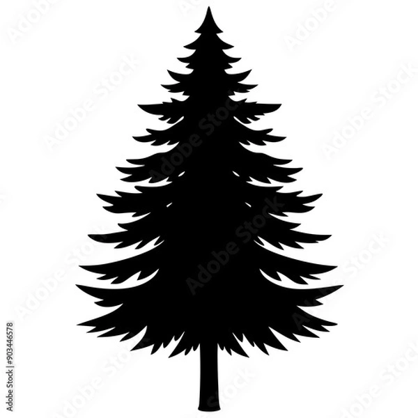 Fototapeta Silhouette of a pine tree Douglas spruce vector illustration design