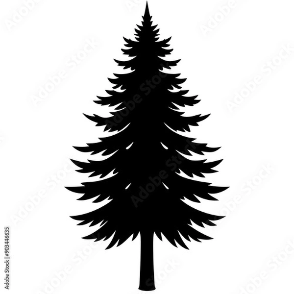 Obraz Silhouette of a pine tree Douglas spruce vector illustration design