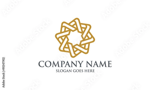 Obraz Elegant Star Logo Image Vector
