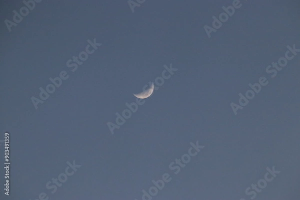 Fototapeta 맑은 하늘에 떠있는 밝은 상현달