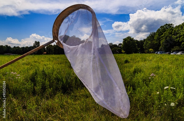 Obraz Butterfly net