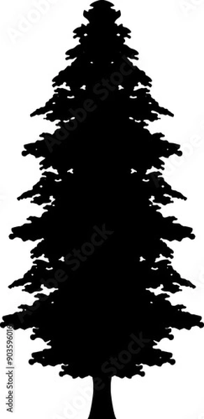 Fototapeta Pine Tree Silhouette
