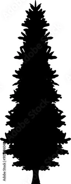 Fototapeta Pine Tree Silhouette