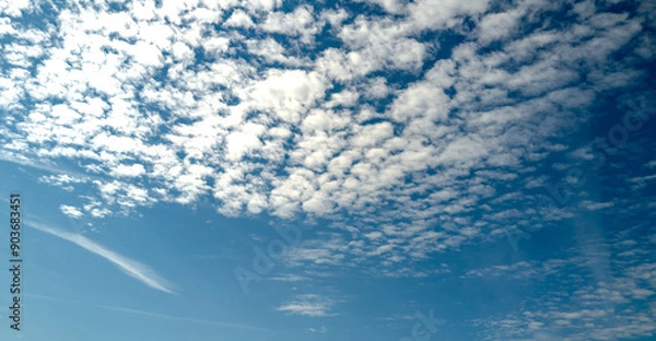 Fototapeta Spring blue sky cloud gradient background. Cloudy sky. Vivid cyan blue landscape in environment day horizon skyline view. White clouds on soft sky background. White cloudy sky.