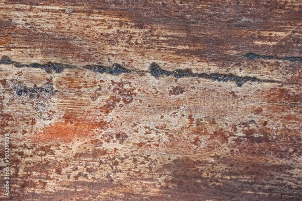 Obraz Old wood surface texture background