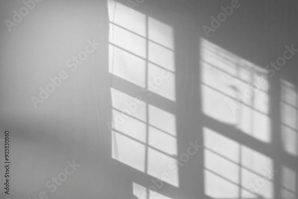 Obraz Window Shadow Overlay