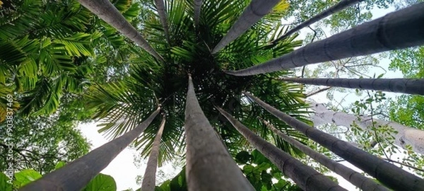 Obraz Brisbane, Australia