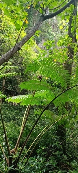 Obraz Brisbane, Australia