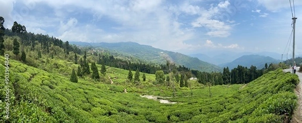 Obraz landscape in the mountains