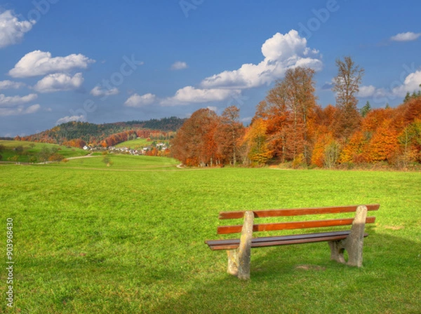 Fototapeta Schwarzwaldblick 