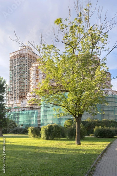 Fototapeta Собор в лесах