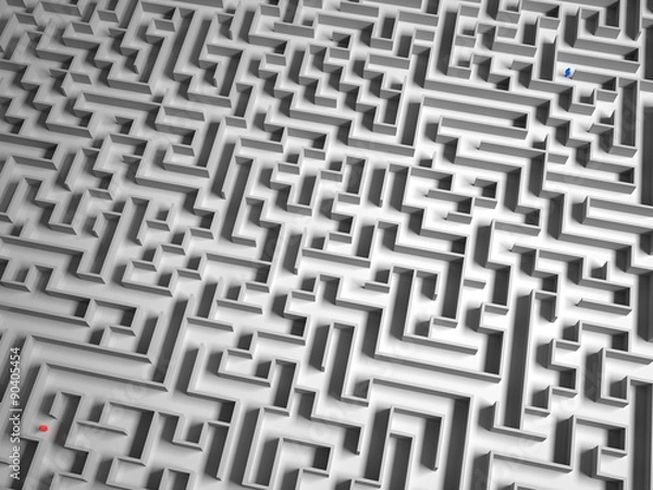 Obraz Separate in the Maze