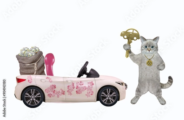 Fototapeta Cat ashen with key at pink car