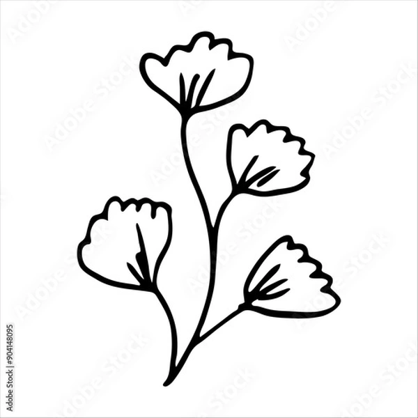 Obraz hand drawn simple botanical floral doodle element