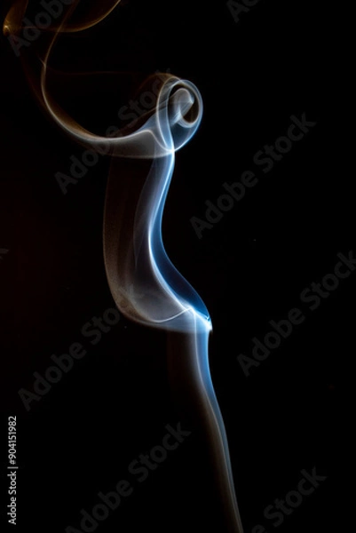 Fototapeta The artwork created from smoke is beautiful and gentle. Taken with a camera that has a high magnification rate.