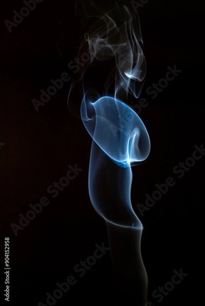 Fototapeta The artwork created from smoke is beautiful and gentle. Taken with a camera that has a high magnification rate.