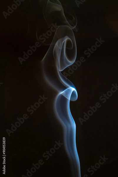 Fototapeta The artwork created from smoke is beautiful and gentle. Taken with a camera that has a high magnification rate.