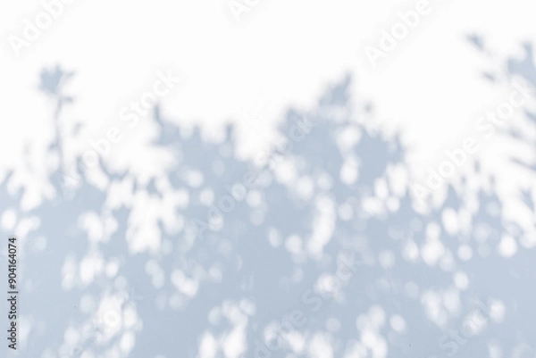 Obraz Abstract natural tree leaves shadow on white wall background
