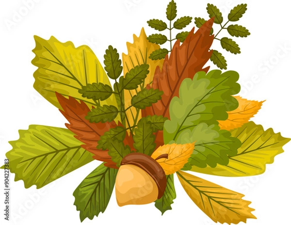 Fototapeta autumn composition of autumn leaves of different trees with acorn and chestnut and maple