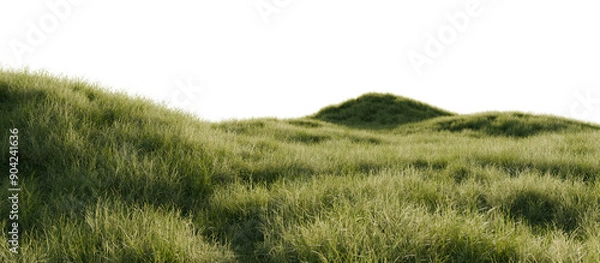 Obraz Hills with grass on a transparent background. 3D rendering.	
